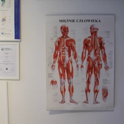 fizjoterapia biomed monadith 2